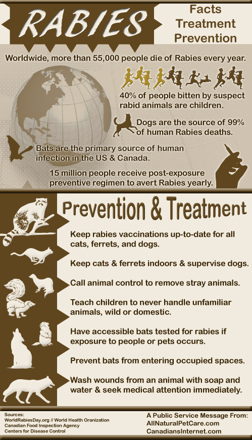 Rabies Statistics, Prevention and Treatment - Infographic - World Rabies Day