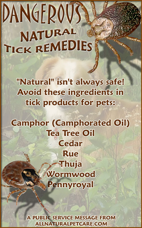 Dangerous Natural Tick Remedies - Infographic