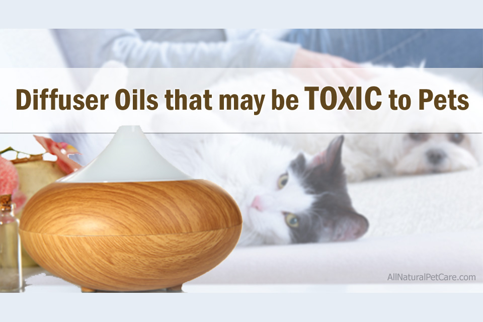 Essential Oils Diffuser Toxic Pets Dogs Cats New2