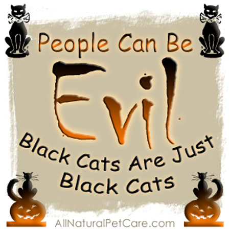 Black Cat Halloween Safety